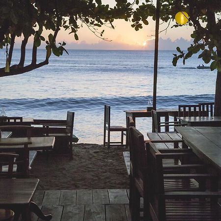 Gecko Restaurant & Rooms Аругам Экстерьер фото